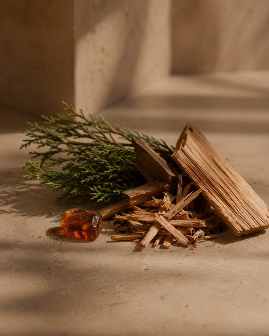 Wooden sticks, a green leafy branch, and an amber-colored stone on a textured beige surface.